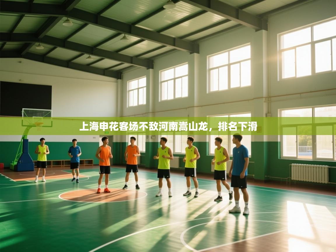 上海申花客场不敌河南嵩山龙，排名下滑  第1张