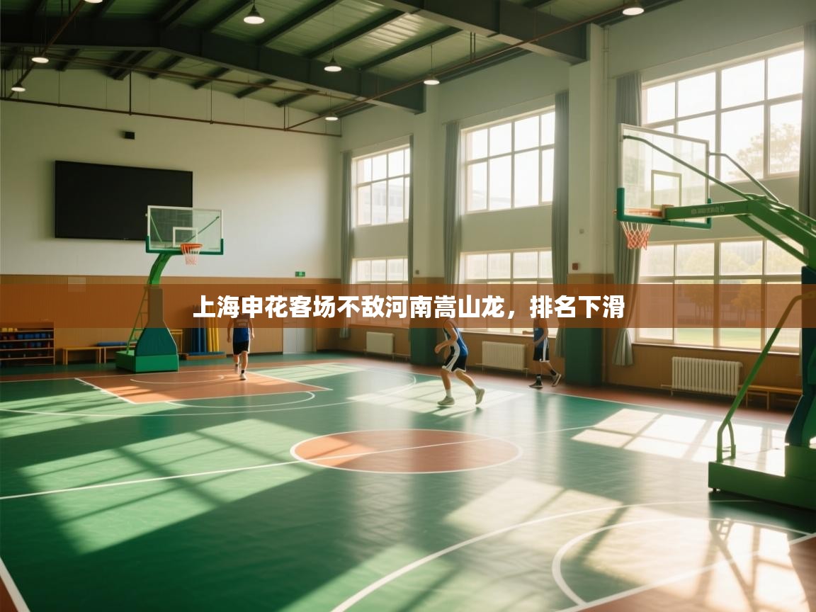 上海申花客场不敌河南嵩山龙，排名下滑  第2张