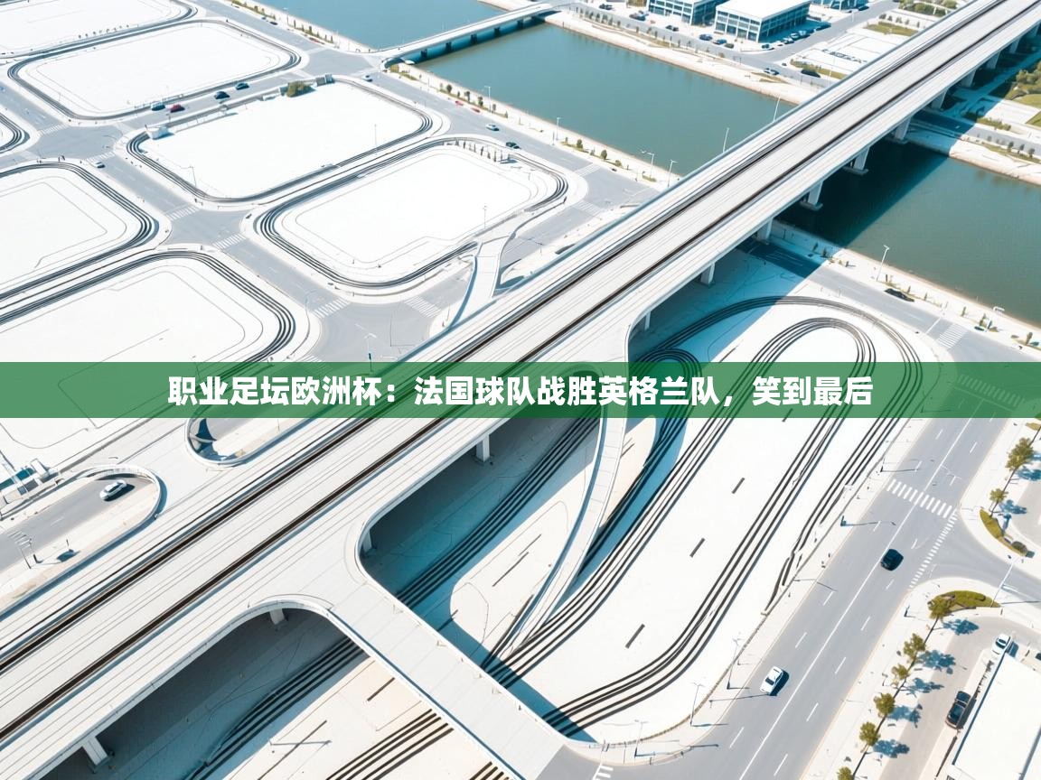 职业足坛欧洲杯：法国球队战胜英格兰队，笑到最后  第2张