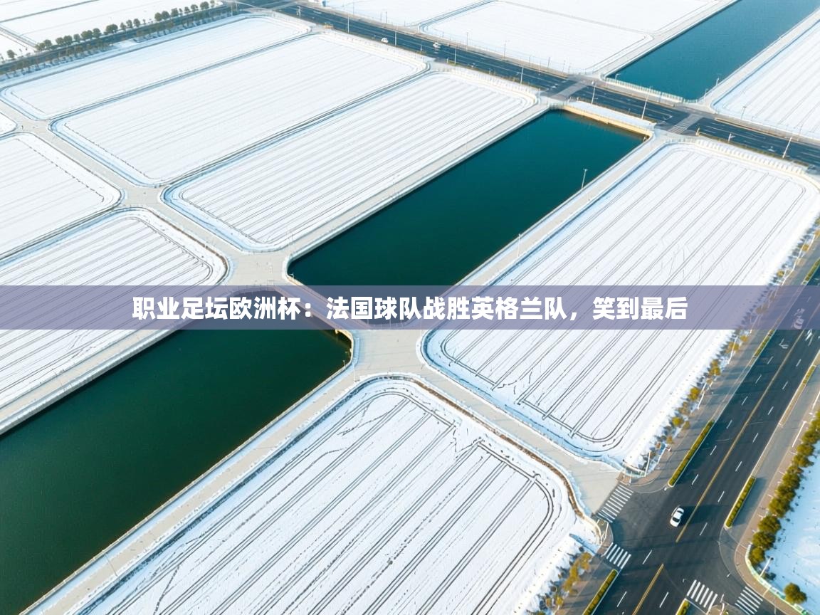 职业足坛欧洲杯：法国球队战胜英格兰队，笑到最后  第1张