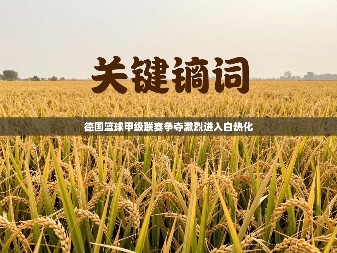 德国篮球甲级联赛争夺激烈进入白热化 第2张