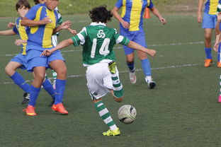 m6米乐在线官网-佛罗伦萨客场逆转胜利，赢得关键三分